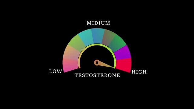 Motion animation on a transparent background alpha channel.  Motion graphics of level miter concept .testosterone  Level Measuring animation.4k video