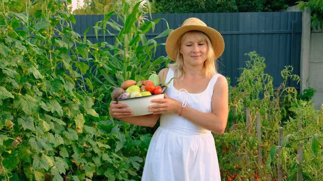 Vegetable harvest with a woman in a garden. Selective focus.