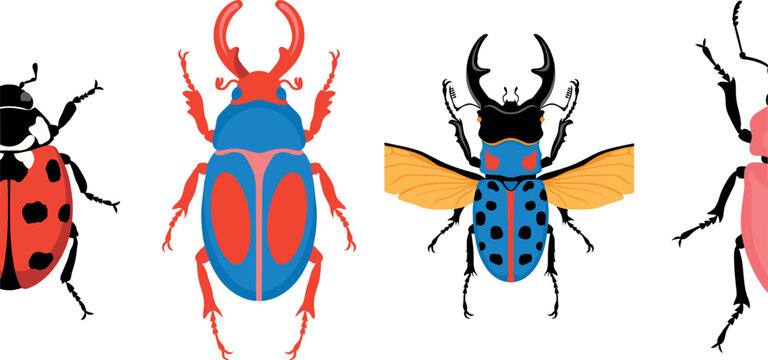 Stag Beetle and Ladybug Vector Collection Featuring Colorful Exotic Insects with Horns and Open Wings for Creative Educational Graphic and Nature Logo Designs
