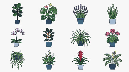 Sleek Collection of Twelve Stylish Indoor Potted Plants with Distinctive Leaves and Flowers in Modern Art Style © Bek