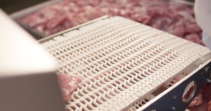 Hand in a blue glove placing a slice of fresh meat on a white conveyor belt in a processing plant