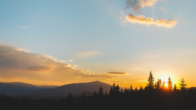 Beautiful sunset over the Carpathian mountains with sun rising or setting behind pine trees.