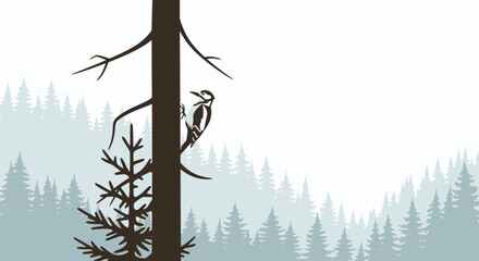 Woodpecker perched on a tree trunk in a misty pine forest © herdi