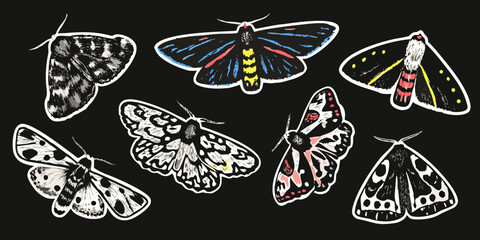 Moth Illustrations Collection Colorful Vector Graphics On Black Background © Juran