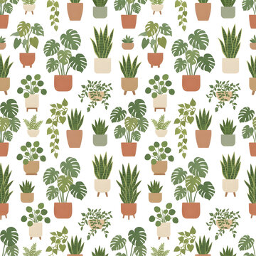 Green pine tree seedlings in small terracotta pots arranged in grid.