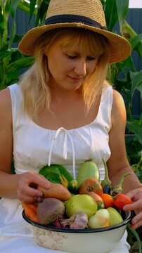 Vegetable harvest with a woman in a garden. Selective focus.