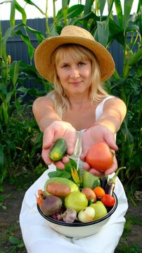 Vegetable harvest with a woman in a garden. Selective focus.