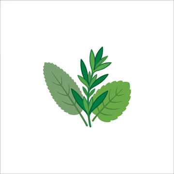 Fresh green herbal leaves illustration including mint and rosemary sprigs for culinary and wellness design.