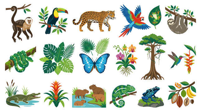 Amazon Rainforest Animals and Plants, Flat Vector Style Illustration