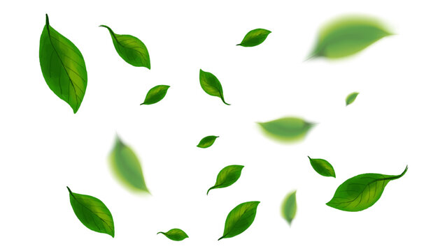 Realistic vector illustration falling green leaves