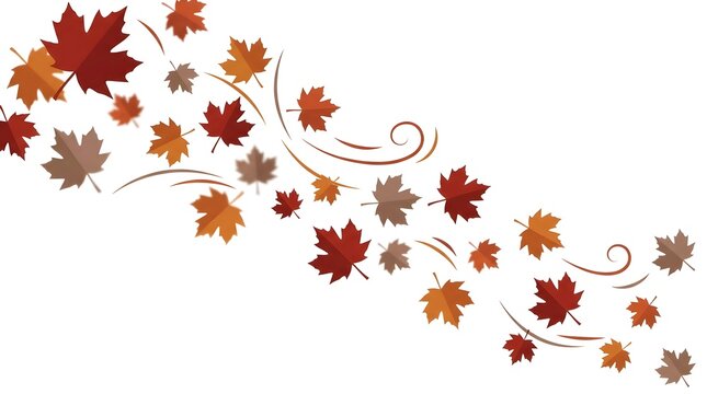Dynamic arrangement of falling autumn maple leaves in wind with seasonal