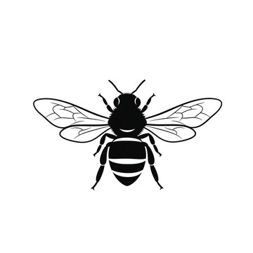 Black Honeybee Silhouette Top View Wings Spread Isolated on White Background Vector Illustration for Nature Wildlife Entomology Biology and Bee Design