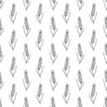 Seamless pattern with hand drawn cereal wheat oat rye barley rice ears spikelet Organic healthy food For decorative print, fabric, package, background