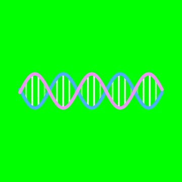 Dna Double Helix Animation Loop Showing Genetic Structure
