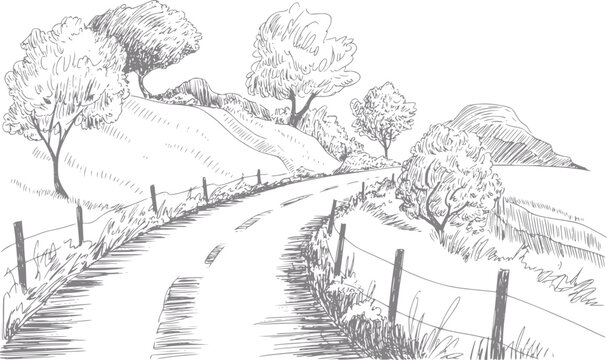 Dibujo a mano de un camino rural sinuoso que atraviesa colinas onduladas y &aacute;rboles verdes esc&eacute;nicos
