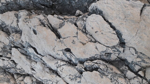 Sea Rocks