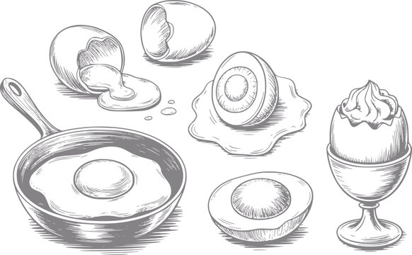 Dibujo a mano de varias preparaciones de huevos, incluidos huevos fritos, cocidos y rotos en una sart&eacute;n