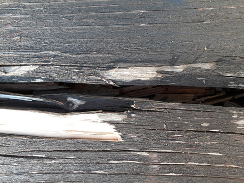 A Crack In Wood Macro