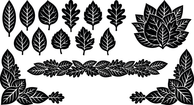 Set of black silhouette leaves, borders, and corner frames isolated on white background transparent background