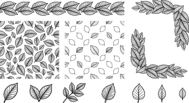 Set of handdrawn leaf patterns, borders, and corner frames isolated on white background transparent background