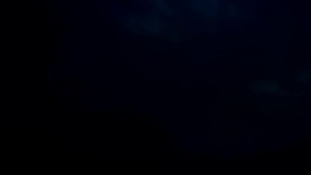 electric storm lightning flashes in dark night sky