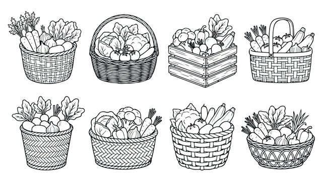 Vintage vegetable basket sketches, hand drawn garden harvest illustrations, set of 8 rustic wicker hampers with fresh organic produce line art