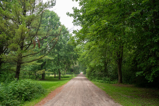 Tree lined path at University of Guelph Arboretum.