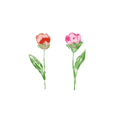 Fototapeta premium Minimalist watercolor illustration of two stylized flowers, one red and one pink, with green stems and leaves, isolated on a black background. Hand-painted art style.