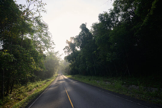 Serene Road Surrounded by Lush Jungle in Yai Tourist Destination