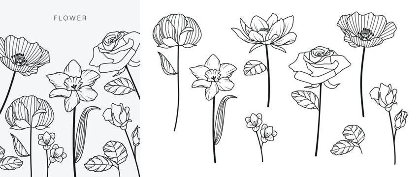 Hand drawn flower bouquet line element vector. Collection of foliage, leaves branch, wildflower, poppy, peony, eucalyptus. Spring blossom illustration design for logo, wedding, tattoo, decor.
