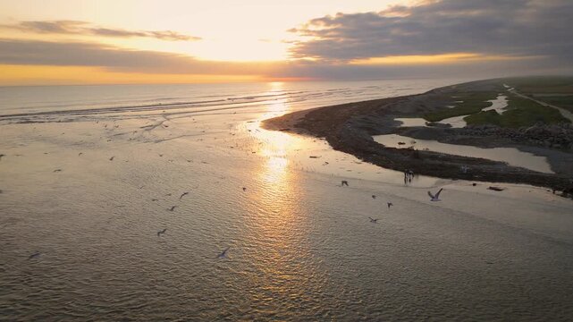 Atardecer en la playa con gaviotas volando en vuelo con dron