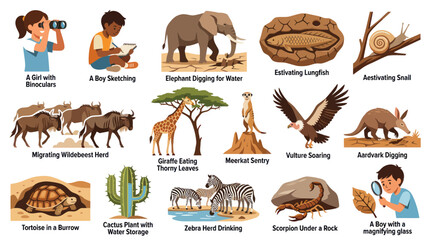 Obraz premium Educational Biology and Wildlife Concepts Flat Vector Illustrations Set for Nature Learning