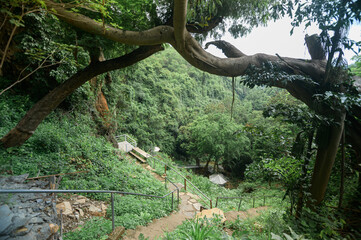 Fototapeta premium Scenic View of Namtok Gorge Surrounded by Lush Greenery