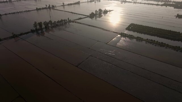 Sunrise reflected on flooded rice paddies in the Mekong Delta