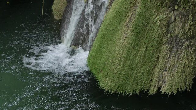 Close-up geological process active tufa formation Les Cascades de Rivert tufa waterfall. UNESCO Global Geopark Or&iacute;gens, Catalonia, Spain. Minimal. Educational video, scientific project. Copy space.
