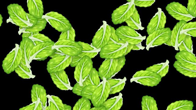 Green Mint Leaves Falling Downward Against a Solid Black Background