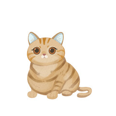 Orange striped fluffy kitty cat, perfect for baby products, childrens books, and cutethemed designs.