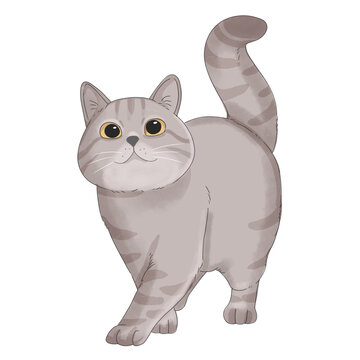 Perfect for childrens books, pet products, and social media posts. Adorable kitty drawing with big eyes, small ears, and a tail.
