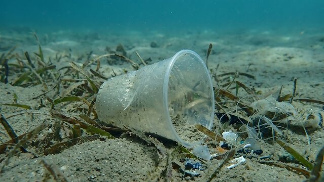 Discarded plastic cup polluting the seabed, highlighting the environmental impact of ocean waste and pollution