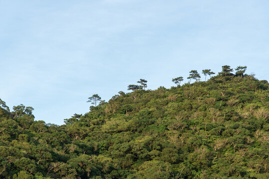 緑の山の尾根