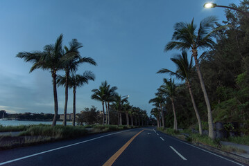 Fototapeta premium 日没後の暗がりの海沿いにヤシの木が並ぶリゾート地の車道