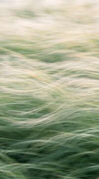 Motion-blurred green grass bending in the wind, creating a natural abstract texture with dynamic movement.