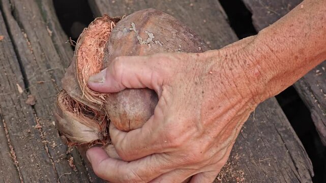 Open the coconut dried shell.