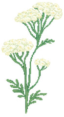 Yarrow flower in pixel art © GreenyPie57