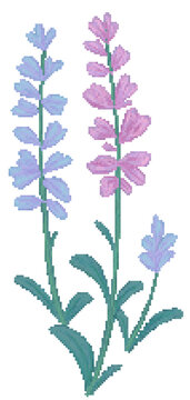 Salvia flower in pixel art