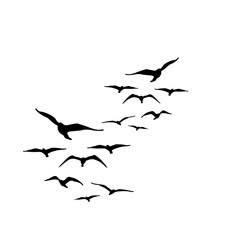 Obraz premium Elegant Bird Silhouette In Flight Vector.ai