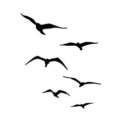 Obraz premium Minimal Flying Bird Silhouette Vector Collection.ai