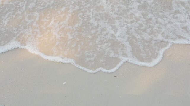 Shadow leaf on sand beach and blue sea background, wave water summer at coast, natural summer for tourism travel in holidays.