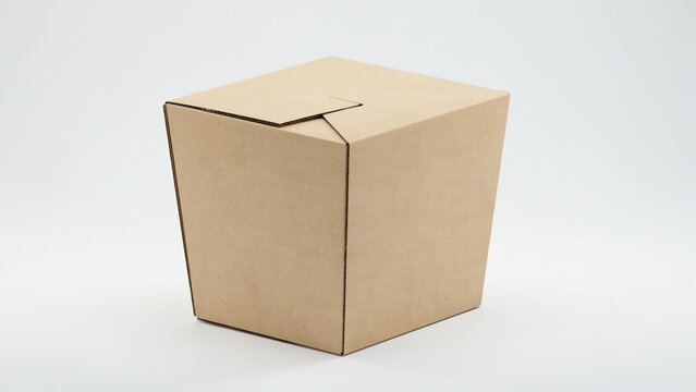Closed brown cardboard food container with a folded lid on a white backdrop paper