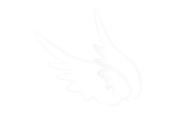 Fototapeta premium Bright white neon glowing angel wings outline light effect transparent png overlay with ethereal fantasy spiritual heavenly glow wing illustration isolated